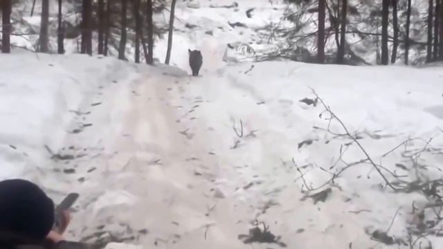 ПРИКОЛ! На охоте. смотреть онлайн