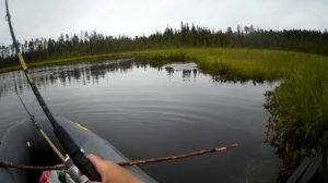 Рыбалка на любимой ламбушке.