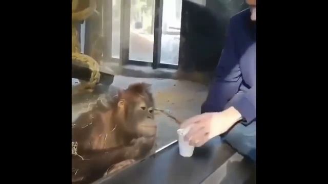 САМЫЕ СМЕШНЫЕ ВИДЕО 2020! ПОДБОРКА ЛУЧШИХ ПРИКОЛОВ ЗА ГОД! смотреть онлайн