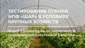 Тестирование плёнок НПФ «Шар» в условиях крупных хозяйств! 🌱