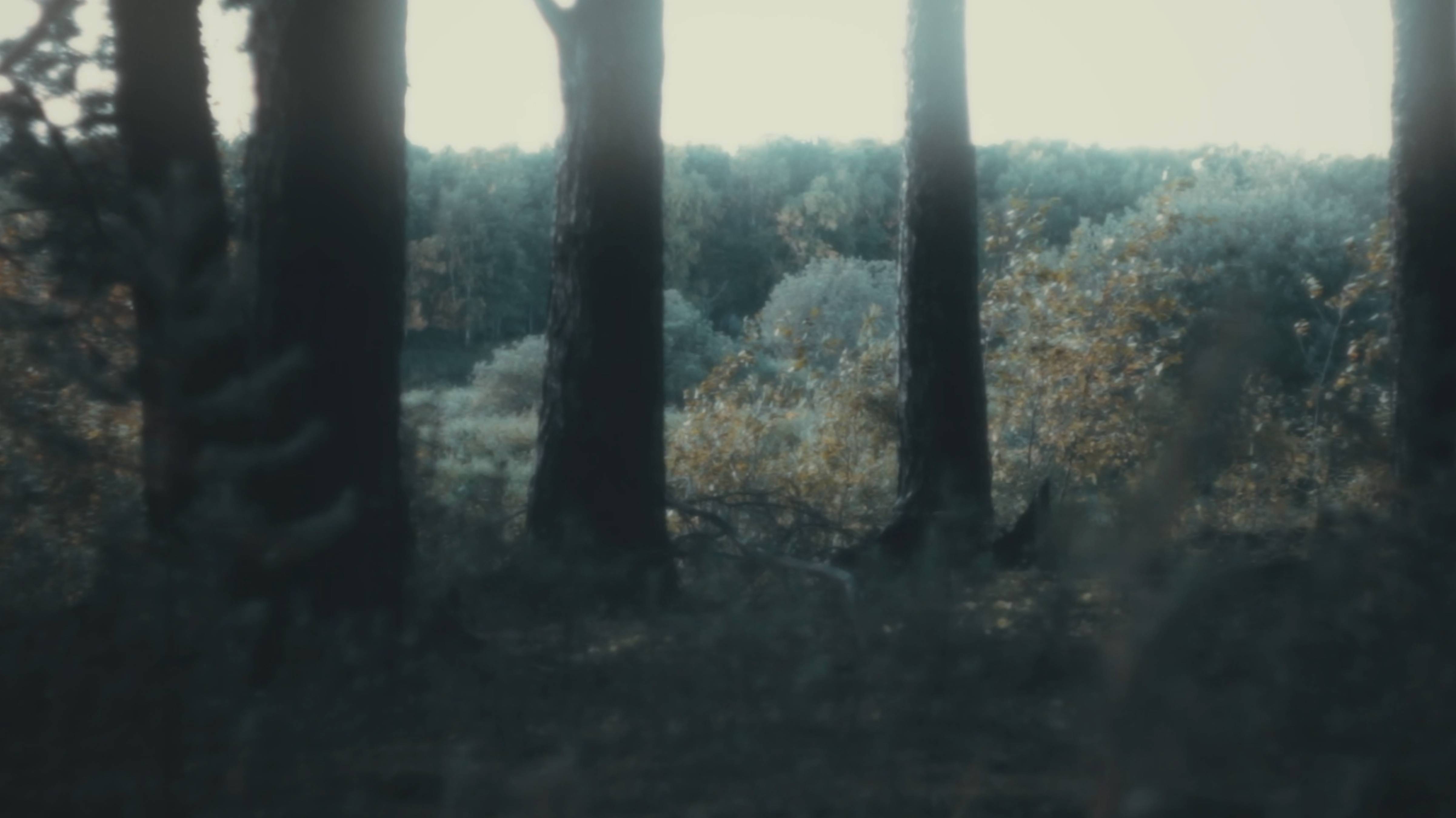 ambient 06 drone смотреть онлайн