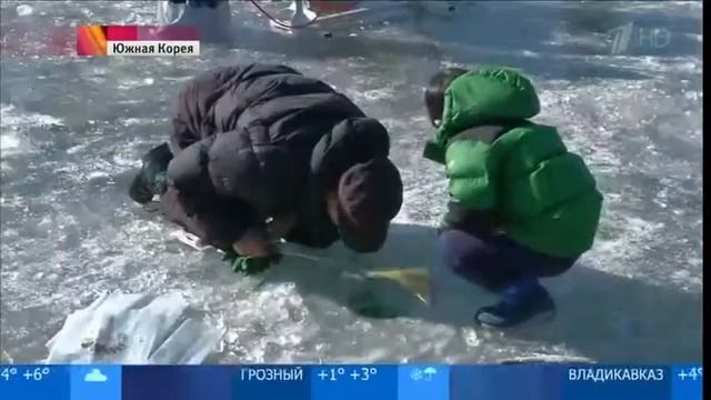 Рыбалка как массовое шоу