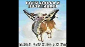 на каком фото тебе стало комфортно?#мем #юмор