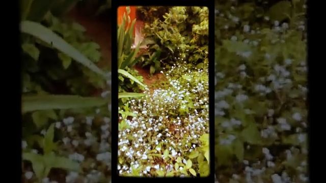 Заповедник смотреть онлайн