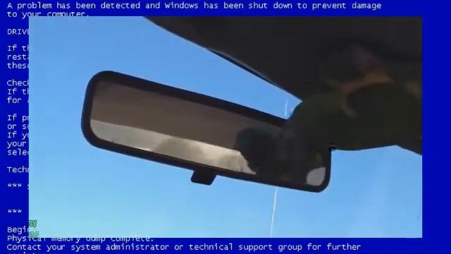 СМЕШНЫЕ СЮЖЕТЫ,ЖИВОТНЫЕ ПЕРЕД ЗЕРКАЛОМ !!!