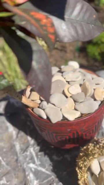 галька черноморская смотреть онлайн