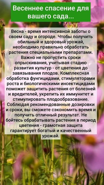 Весеннее спасение для вашего сада... смотреть онлайн
