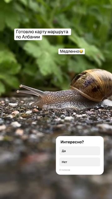 Что вы слышали об этой стране? Интересно будет? смотреть онлайн