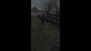 Посадка воздушной бульбочки чеснока