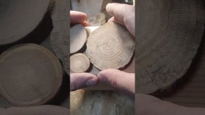 Как правильно приклеивать торцевые спилы)  Декорирова