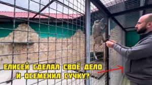 Алексагины выжимают из истории с гамадрилом Люсей по максимуму, 14 мая