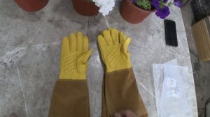 Недорогие перчатки для роз которые не про...