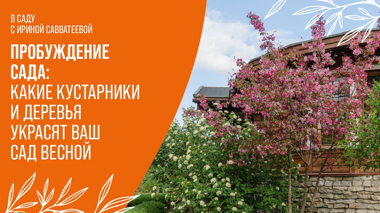 Сад весной: от почек до цветов