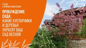 Сад весной: от почек до цветов