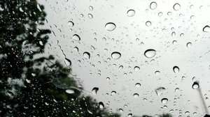 Четье Минеи 15 (2) мая