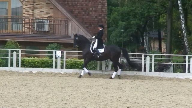 Настя на Падишахе, кубок губернатора смотреть онлайн