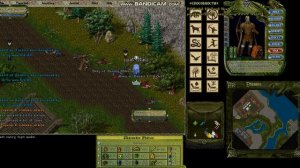 нашел новый сервер ultima online enternium