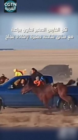 🐎Спасение юного всадника