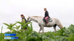 Конный приют в Кургане стал домом для десятков лошадей и пони, которых спасли от жестоких хозяев