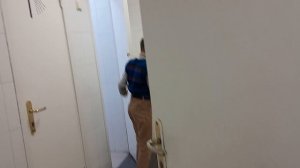 Горе-детектив. Дело о облитом мальчике.