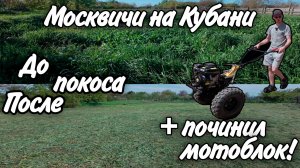 На Юге дел по горло! Покос травы, Ремонт мотоблока!