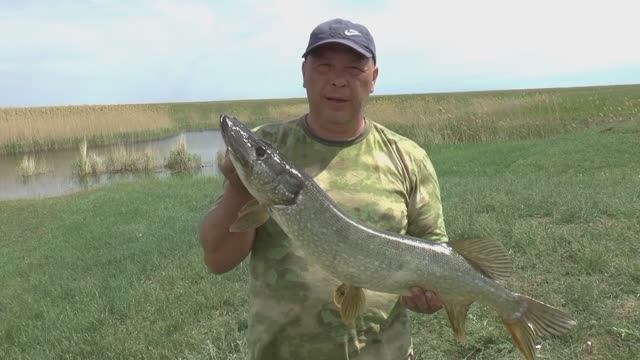 КРАСНОПЕРКА НА ПОПЛАВОК И ТРОФЕЙНАЯ ЩУКА НА КРУЖКИ!
