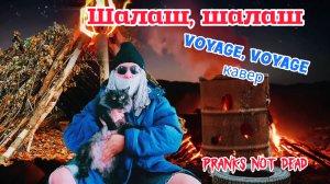 Кондрат и Марфушка - Шалаш, шалаш ( Музыкальная пародия, Voyage, voyage кавер )