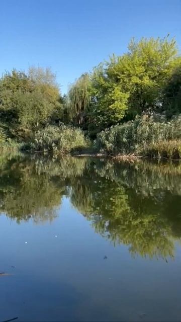 Купить участок для базы отдыха, глемпинга 7Га в Покров? смотреть онлайн