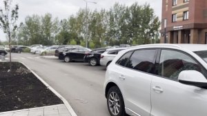 Безопасность дорожного движения