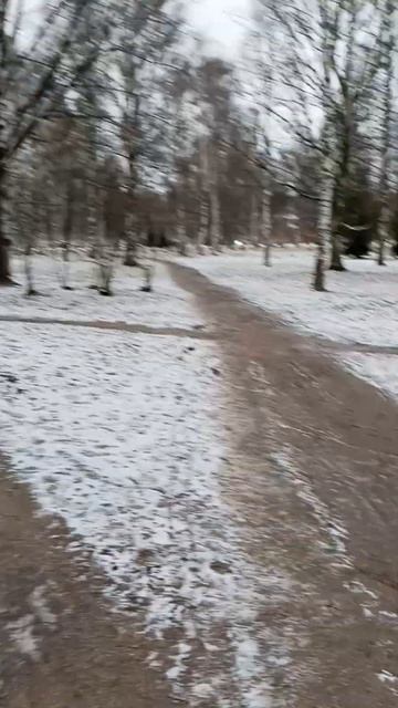 Нет освещения в парке #безразличие #санктпетербург #бл смотреть онлайн