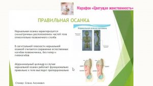 Вебинар "Как улучшить состояние живота"