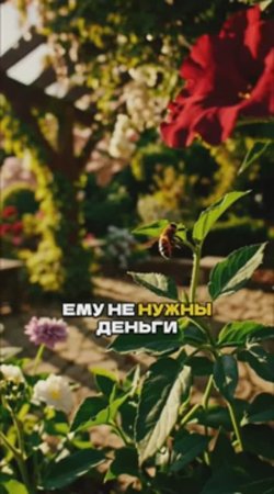 Сад Выглядит Дёшево Из-За Этих 4 Ошибок🪴⚠️