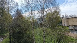 Поют соловьи у нас,заливаются 
#Вологда