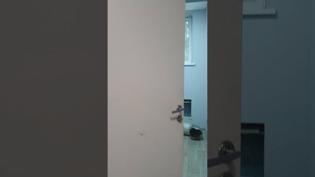 Помещение свободного назначения, 72,4 м² смотреть онлайн