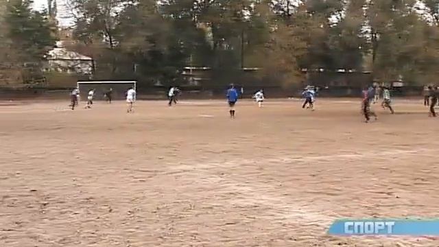 11 канал про Пульс смотреть онлайн