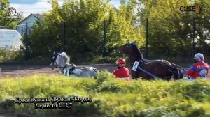 Резвость Конвоира – 2.02,9 – новый рекорд приза в честь Дня Победы в Великой Отечественной войне!