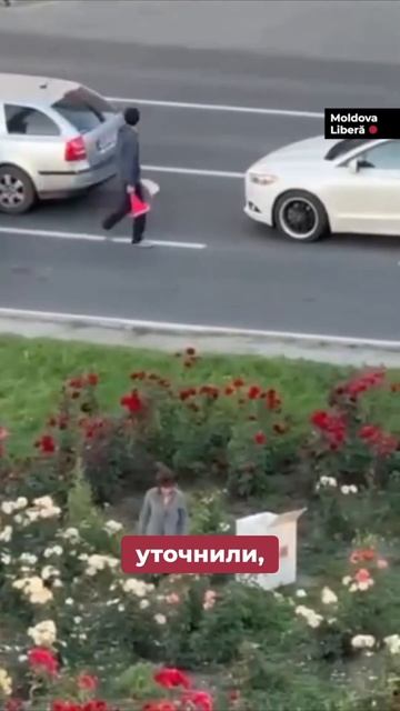 Женщина срезает цветы на городских клумбах #молдова #н смотреть онлайн