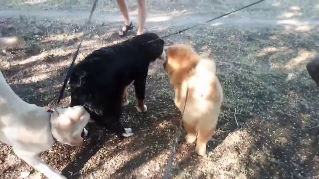 перед выставкой знакомство с участниками смотреть онлайн