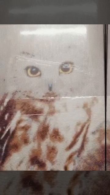 Алмазная мозаика "Сова" смотреть онлайн