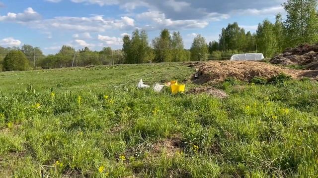 САЖАЕМ КАРТОШКУ ПРЯМО НА ЗЕМЛЮ /// КАРТОШКА ПОД СОЛОМУ