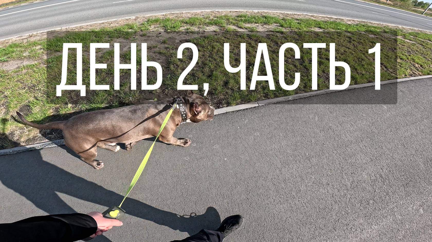 День 2, часть 1