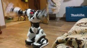 Супер Робот (Super Robot)