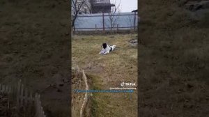Попробуй отбери!...)))