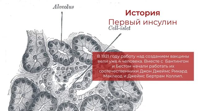 Презентационный ролик портала farmedinstvo.info "Интересные факты о лекарствах" (Инсулин) смотреть онлайн