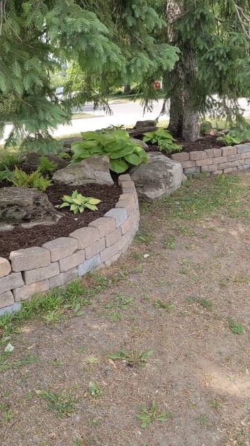 Клумба с хостами смотреть онлайн