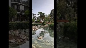 Rixos premium Tekirova hotel.Турция .Текирова .Хороший семейный отель .