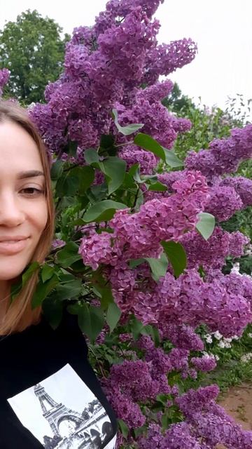 Цветет сирень! Отличная идея #росписьодежды #handmade #кастомизация #росписьпоткани #кастом #роспис смотреть онлайн