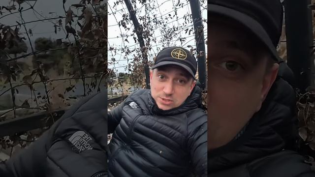 картина на двп смотреть онлайн