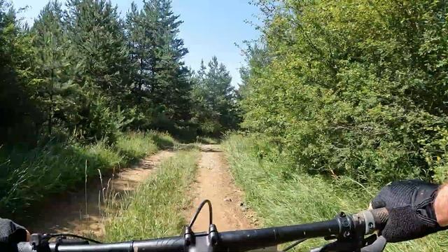 Витоша 100 км  2024 МТБ смотреть онлайн