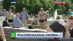 Будешь так со мной разговаривать п*зды получишь